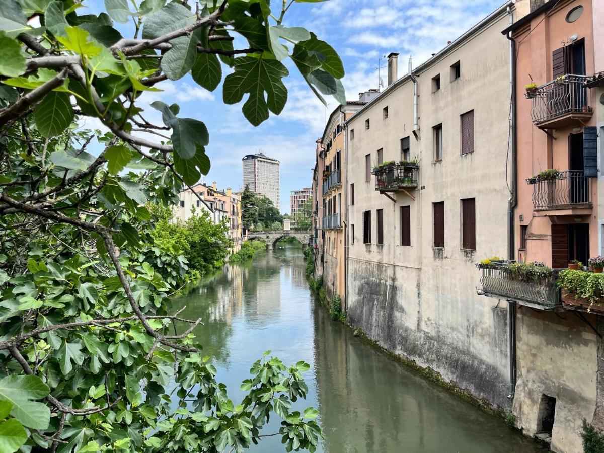 Appartamento Ai Portici Di Via Savonarola Padova Ngoại thất bức ảnh